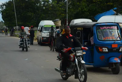 DSC_8742 (Large).JPG